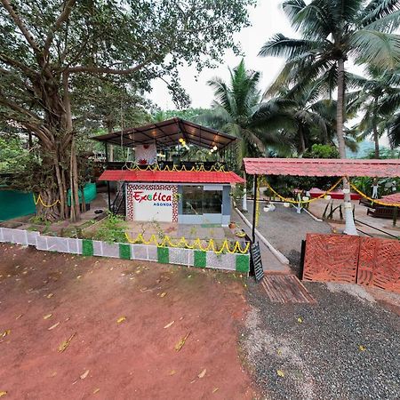 The Exotica Agonda Hotel Kültér fotó