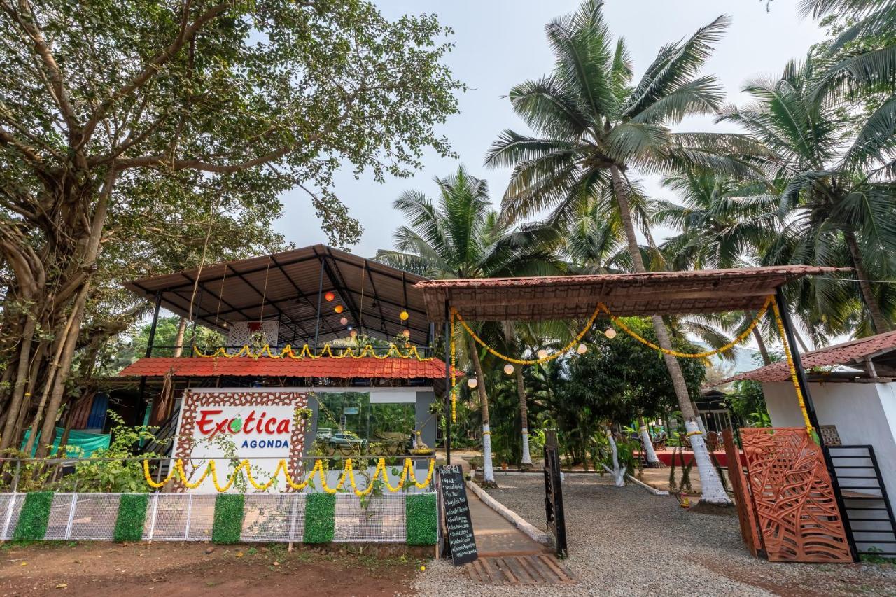 The Exotica Agonda Hotel Kültér fotó