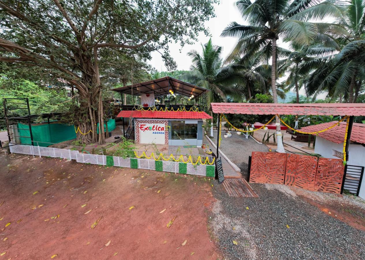 The Exotica Agonda Hotel Kültér fotó