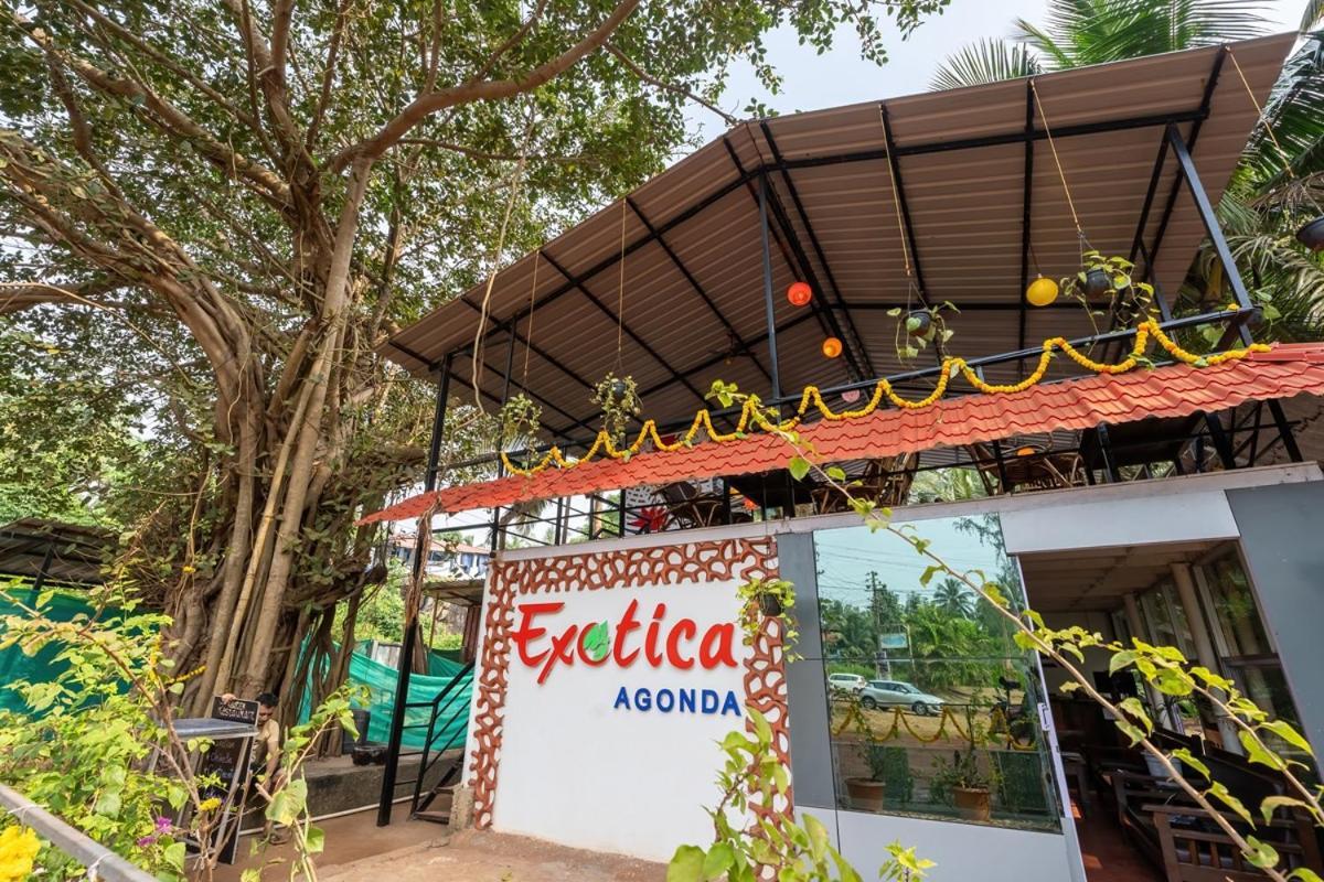 The Exotica Agonda Hotel Kültér fotó