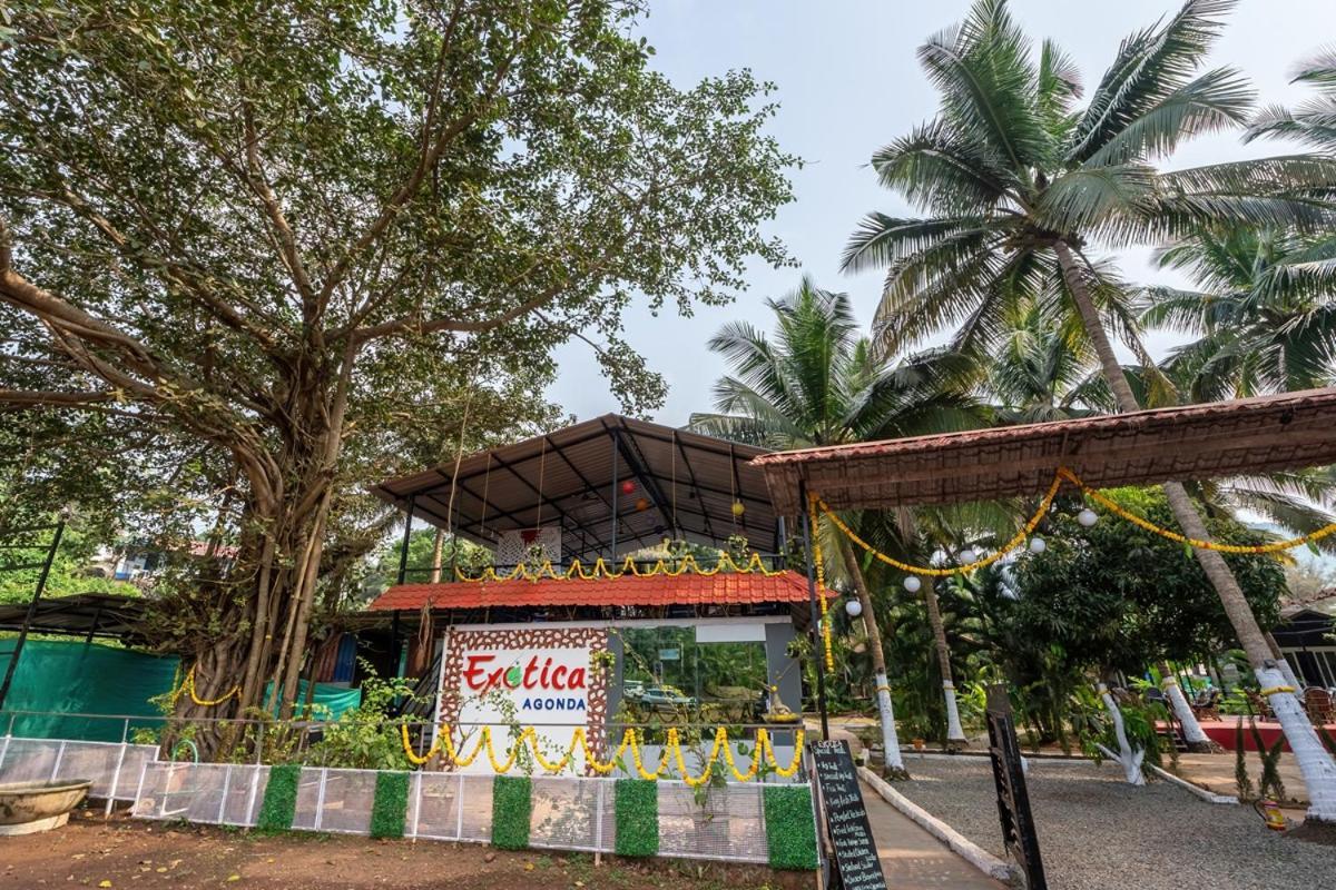 The Exotica Agonda Hotel Kültér fotó